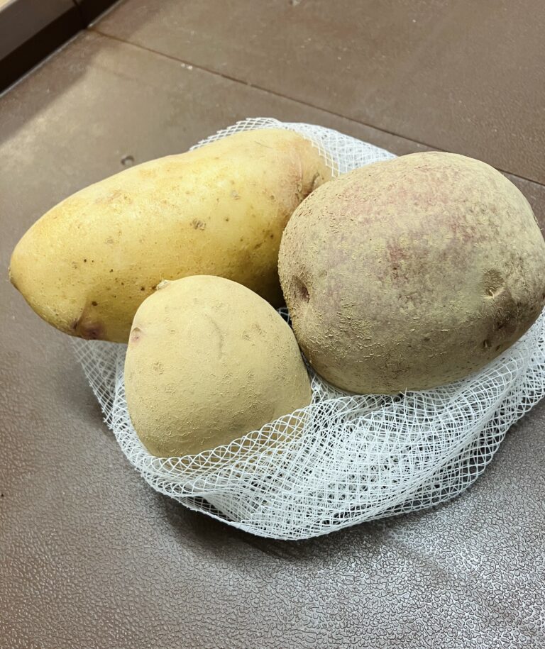 2月の食育　うさぎ組